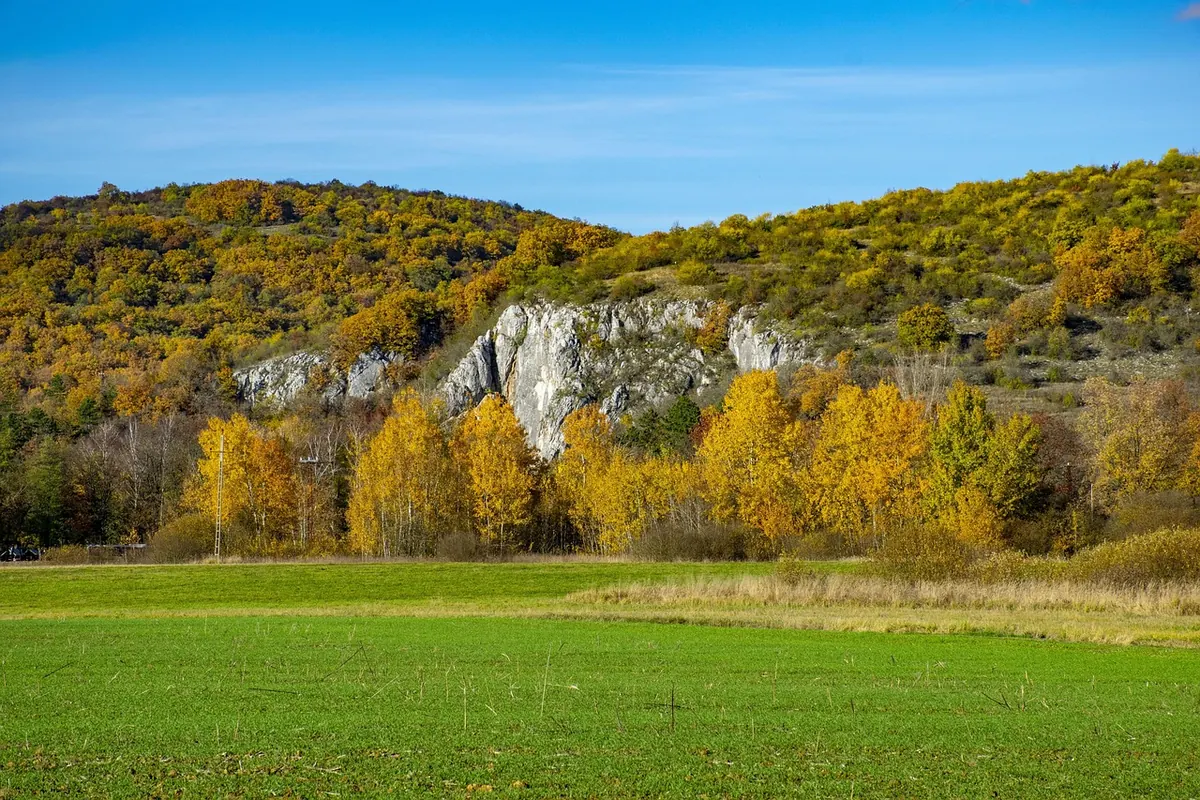 Cheddar Gorge vs. Wookey Hole: Which Somerset Cave Heritage Site Suits Your Trip?